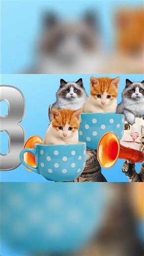 Cats Skip Counting by Twos! Fun Math for Kids! #shorts