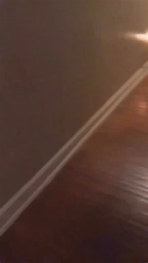 9.8K views · 343 reactions | Funny Animals 藍 藍 藍 藍 藍 #shortsreels #loyalty #loyaldogs #reaction #doglifestyle #pet #viralfunny #dog | Pets & Cats | Facebook