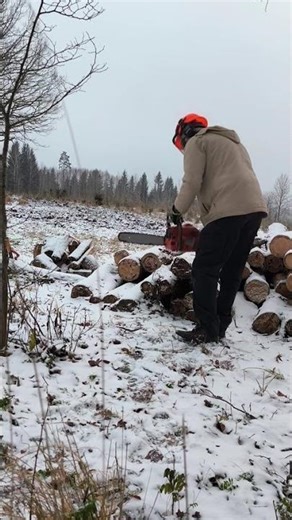 the Husqvarna 254 is a great old chainsaw