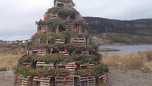 Lobster trap tree