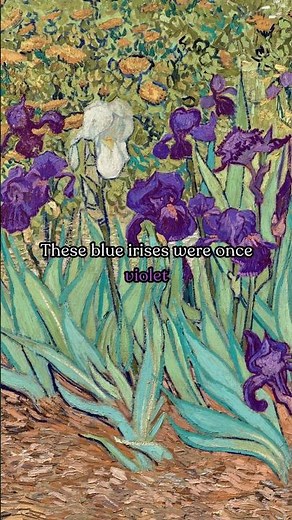 Irises by Van Gogh #history #art #painting