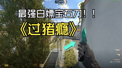 【CS2】B站首发！买一把宝石刀就可以体验所有刀型的宝石刀？完美割草了想收集所有宝石刀的想法