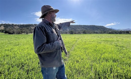 Perceptions vary as Colorado prepares for wolf reintroduction