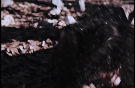 Dustin Henderson's Journey in Stranger Things Season