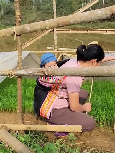 Building a Bamboo Fence in 35 Days: A Single Mom's Journey