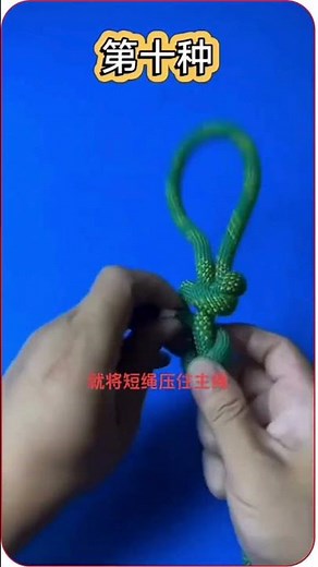 Pet Knot: Secure Your Pet with Practical Knots! | Exact Knot 🐾🔗 #knots #knot