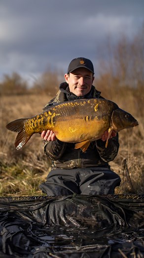🚨COMING SOON 🚨 BASTON SHALLOW PIT 🎣 Baston Shallow Pit is a BRAND-NEW fishery that we’ve added to our Day-Ticket portfolio. Its full of lovely looking fish just like this one and will be opening to the public THIS SPRING Here’s what to expect… 👇 👥 5 bookable, double swims guarantee fishing alongside a friend, plus additional single swims available for more options on the day. 🎣 250 young, fit and hungry carp to go at. An average size of over 20lb has been caught so far! 🎯rumours of a 41lb