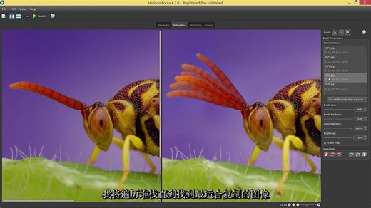 景深合成Helicon Focus Pro 8.1.0 中文字幕使用教程