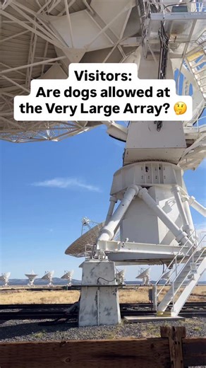 Pets are welcome in all outdoor public areas of the Very Large Array (📍New Mexico) as long as they are kept on a leash no longer than 6 feet. We ask that you abide by the B.A.R.K. principles: (B)ag your pet’s waste (A)lways leash your pet (R)espect wildlife, and (K)now where you can go. No pets are allowed in the VLA Visitor Center and Gift Shop. If you have a service dog, please notify the staff and we will do our best to accommodate you. The VLA is open to visitors 7 days a week, from 9 AM - 