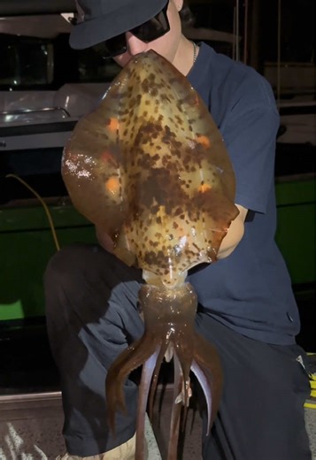 Daiwa Fishing Techniques and Gear Recommendations