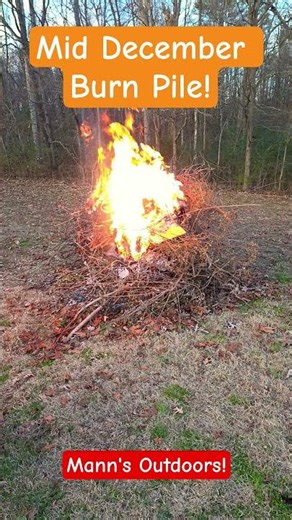 Burn Pile! #fire #firepits #homestead #homesteading #farm #farming #farming101 #outdoors #cold
