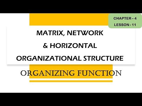 Matrix, Network & Virtual Organizational Structure | Functions of Management