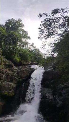 #nature#forest#waterfall