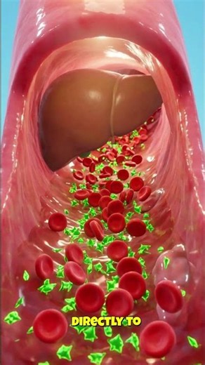 How Poison Damages Every Organ #toxins #health