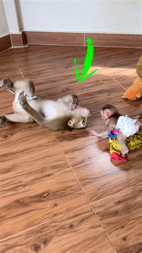 Silliest Judy Try To Soothe Jumie To Noon Nap | Life With Jumie