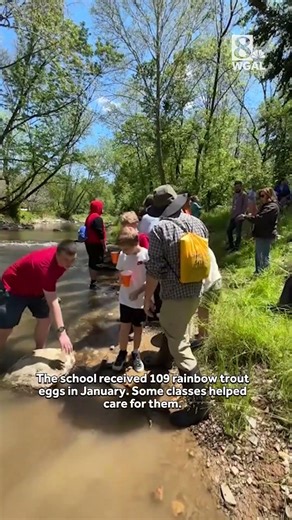 Pa. students raise trout then release them into Little Chiques Creek