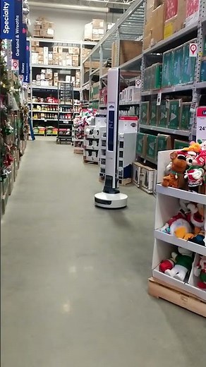 Lowes robot employee