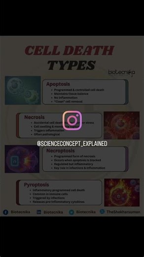 Cell Death Types