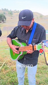 Chapulin de la bandurria en tinquer | purito ccarhuino