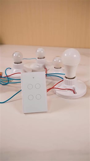 Delviz EU Standard Glass Panel,Remote Control Wall-mounted Switch Work With Google Alexa,WIFI Tuya Smart Touch Wall Light Switch