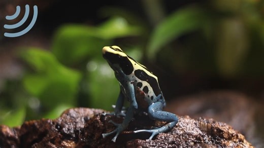 Control your biOrb EARTH from your phone using our control app! Click here to see what other features make the biOrb EARTH the smartest vivarium available: https://loom.ly/nwLZ0sg | biOrb | Facebook