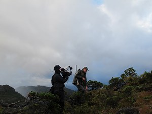 Into the Clouds: Sitka Blacktail Deer | MeatEater Season 1