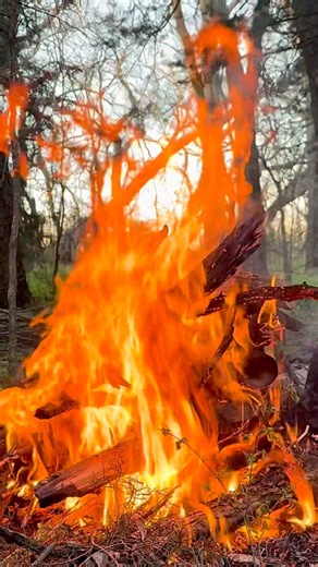 Big Campfire Flames 🔥 Real Fire Sounds #shorts