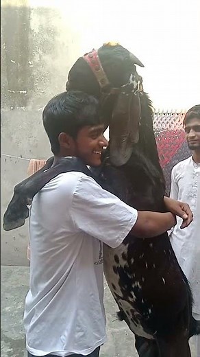 ppppppppppppppppppppppppppppppppppppppppppppppppp pppppppppppppppppppp