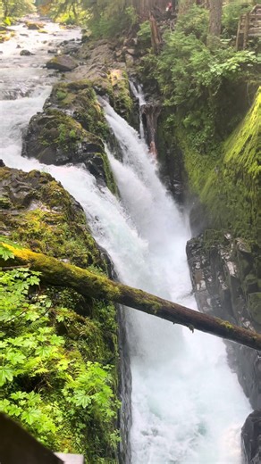 Sol Duc Trail in Olympic National Park