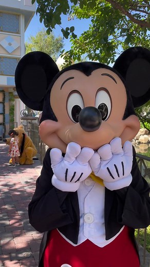 Gracias Disney por tanto ❤️@Disney Parks #disney #disneyland #photopass #disneymagic #disneyvacation #disneyworld #fyp
