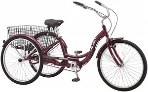 24 Reasons to/NOT to Buy Schwinn Meridian (Jan 2026) | BikeRide