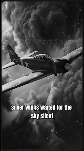 WW2 Zero Fighter Footage