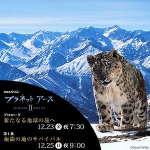 415K views · 6.2K reactions | 生き物たちの目線で見た驚愕の大自然。 極上の映像で新たなる地球の旅へといざなう。 | NHK | Facebook