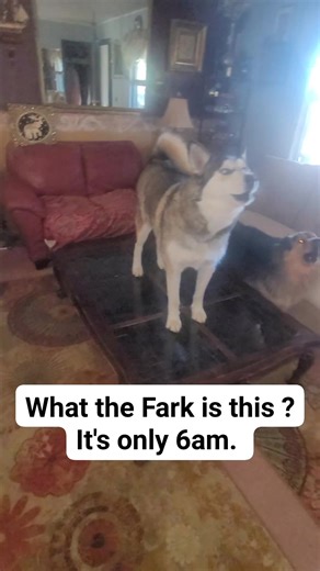 Yvonne M. Allbritton on Reels