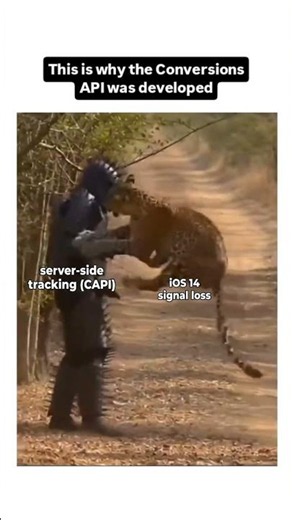 This is why the Conversions API was developed
