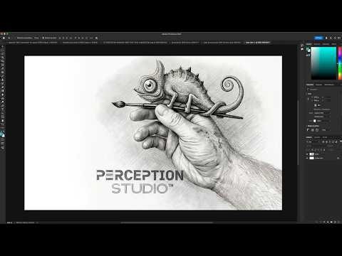 Perception Studio - La rencontre entre le Design & le Marketing
