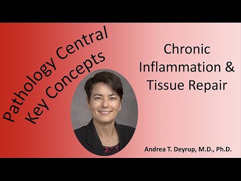 Medical School Pathology: Chronic Inflammation & Tissue Repair