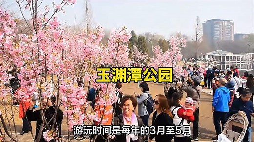 北京玉渊潭公园游玩攻略，亲近自然，放飞心灵，感受悠闲惬意