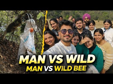 MAN VS WILD !!👨🏻‍🔬🐝
