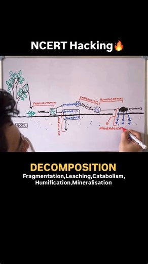 Kashish Vashist on Instagram: "NCERT Challenge💪 Decomposition🔥 #neet #neet2026 #neettricks"
