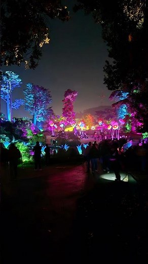 Lightscape 2025 at the Botanical Garden in Golden Gate Park, San Francisco