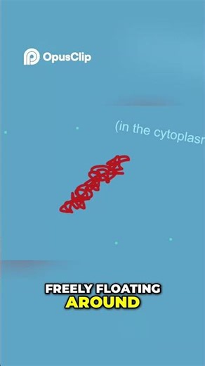 Every living organism is made of cells… but not all cells are built the same 🔬🧬