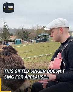 567K views · 27K reactions | I love that we can share such a special connection with animals through music 梁❤️ instagram.com/plumesofficiel | Things You Don't Know | Facebook