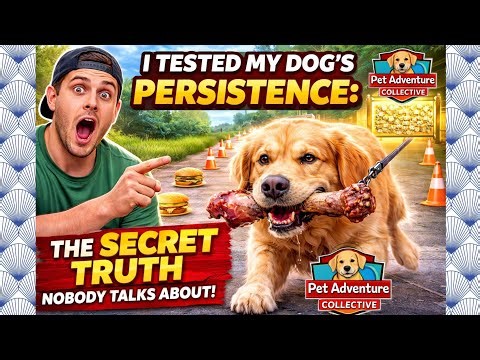 I Tested My Dog’s Intelligence (Shocking Results!)