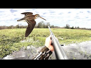 HUNTING the FASTEST game BIRD on EARTH *SNIPE* CC&C BlueGabe Style