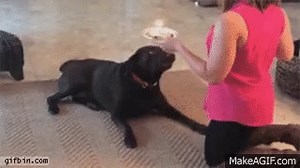 Happy Birthday on Make a GIF