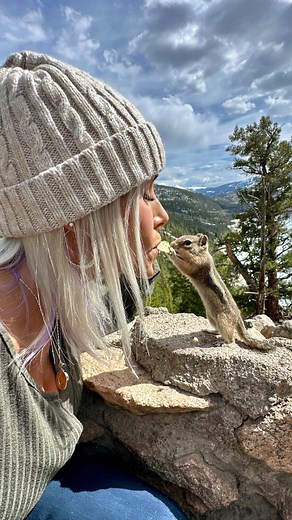 Did you know: Even Disney princesses have to pay the rat-tax. | Coley Jens