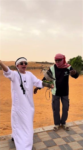 Falcon Experience in the Desert - You Won't Believe This