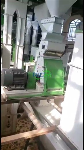 Iran 1–2T/H Aquafeed Project — Multi-Species Feed Production