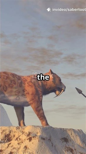 Sabretooth | Mind-Blowing Facts About Animals | Savannah Secrets